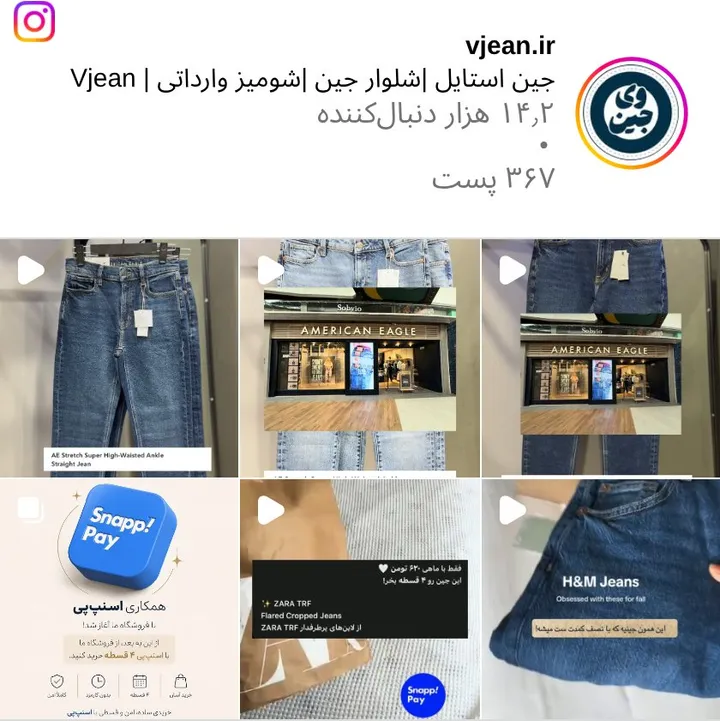 اسکرین‌شات پیج vjean.ir