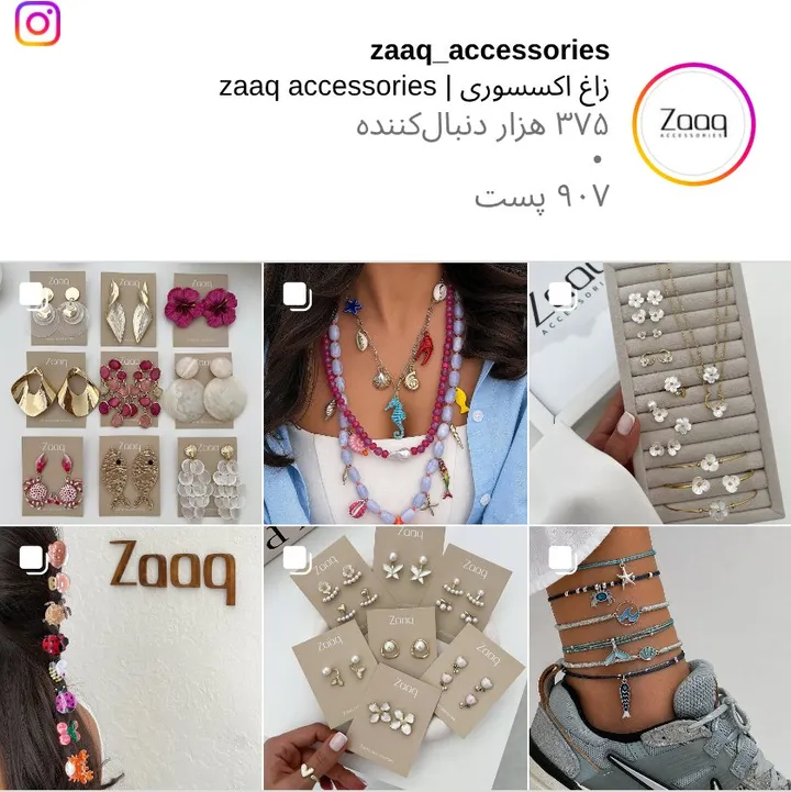 اسکرین‌شات پیج zaaq_accessories