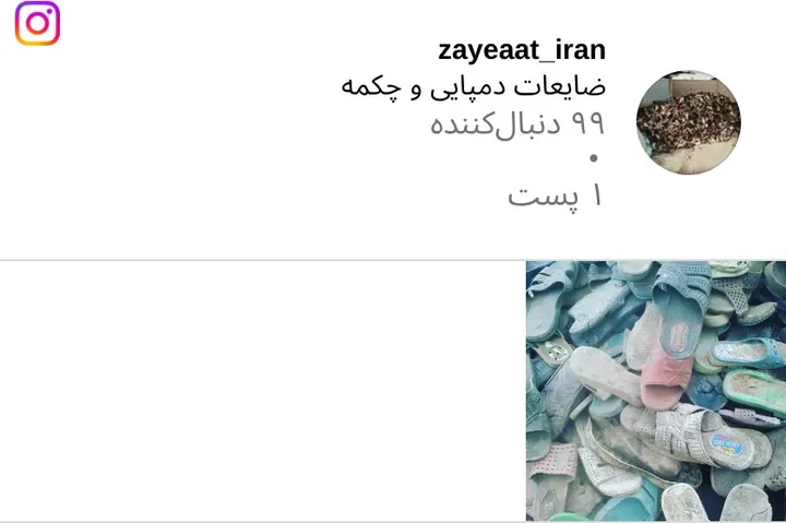اسکرین‌شات پیج zayeaat_iran