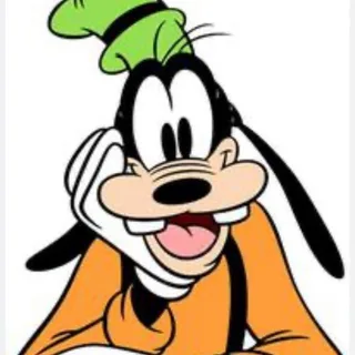 goofy_kids_wear