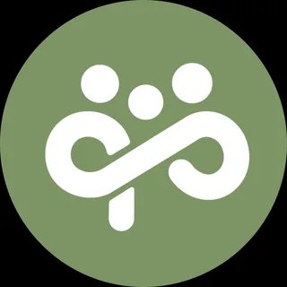 ibamo.ir