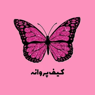 kif_parvaneh