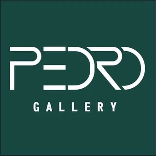 pedro.gallery