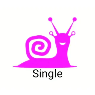 single.pooshak
